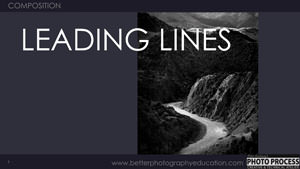 PP - Composition - Leading Lines