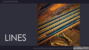 PP - Composition - Lines