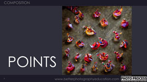 PP - Composition - Points