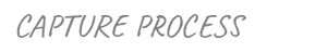CaptureProcess 300