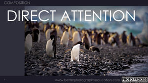PP - Composition - Direct Attention