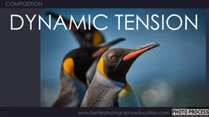 PP - Composition - Dynamic Tension