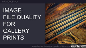PP - Output - Image File Quality for Gallery Prints
