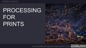 PP - Output - Processing for Prints