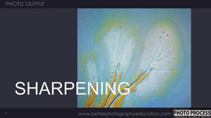 PP - Output - Sharpening