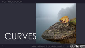 PP - Post-Production - Curves