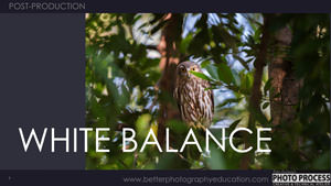 PP - Post-Production - White Balance
